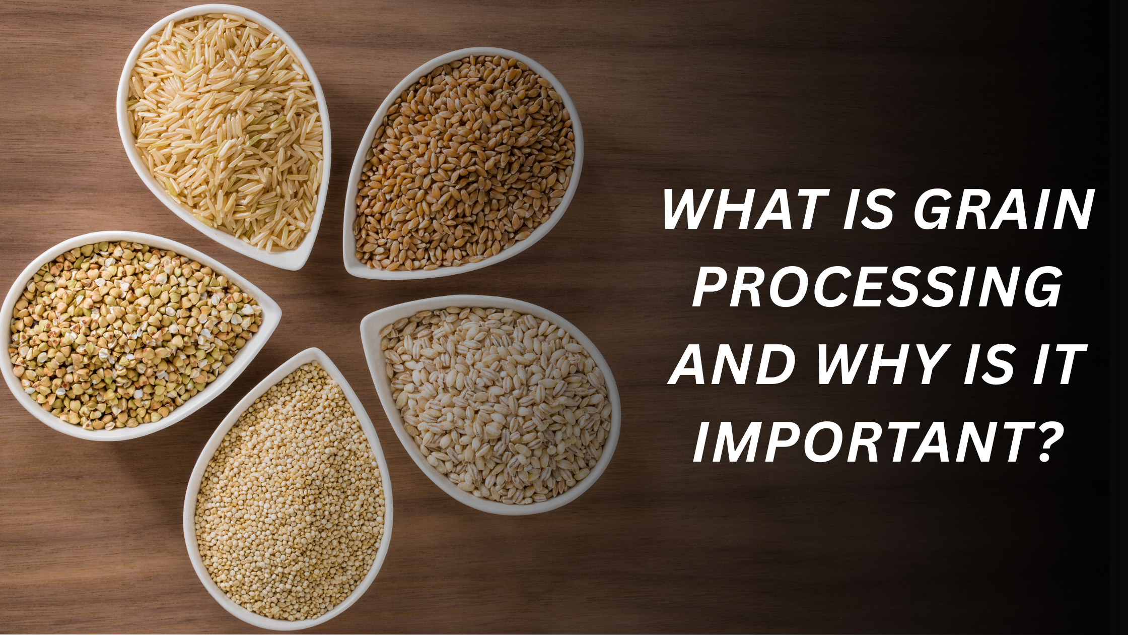 Grain Processing plant
