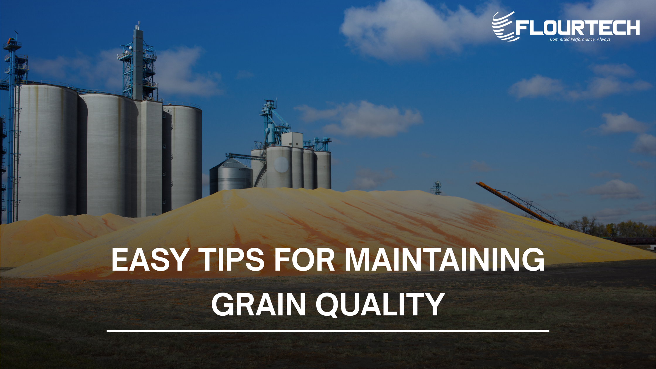 Easy Tips for Maintaining Grain Quality